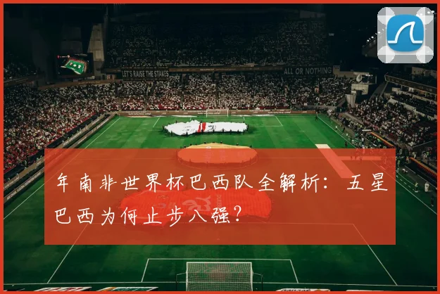 年南非世界杯巴西队全解析:五星巴西为何止步八强?