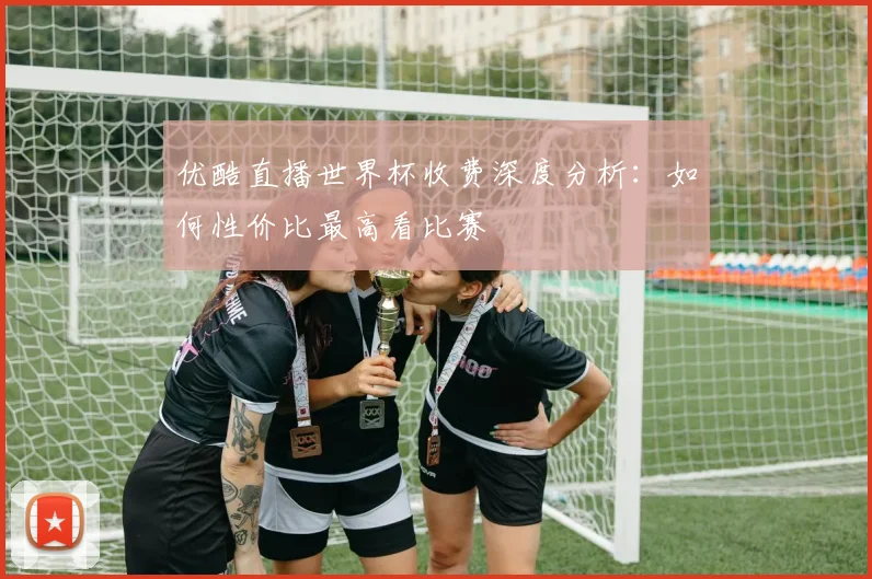 优酷直播世界杯收费深度分析：如何性价比最高看比赛